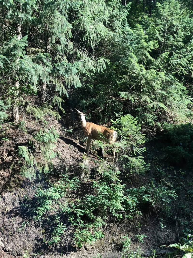 gah! we’ve been seen!